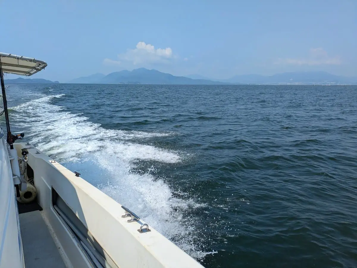 穏やかな海の風景